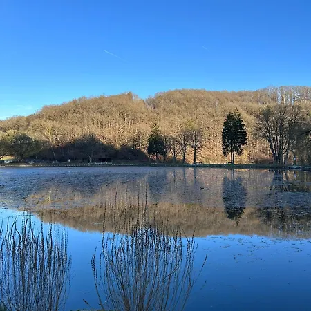 Eifelnest 3 Appartamento *