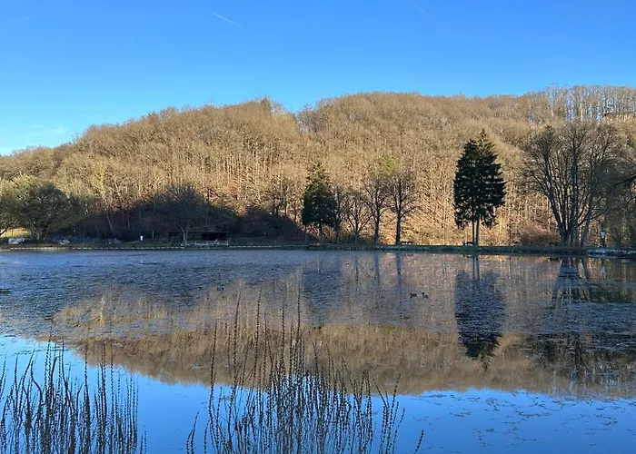 Eifelnest 3 Appartamento *