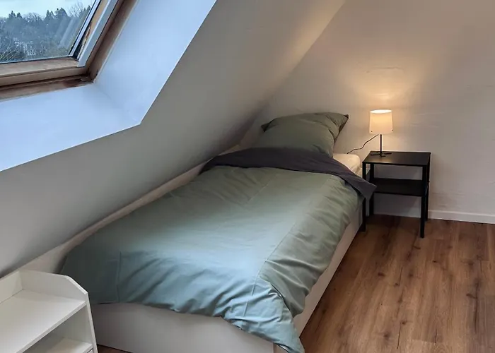 Eifelnest 3 Appartamento